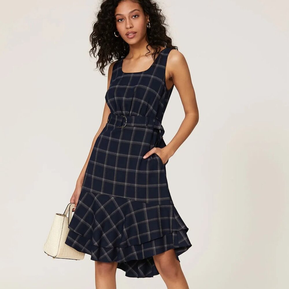 Great Jones  Blue Plaid Dress
